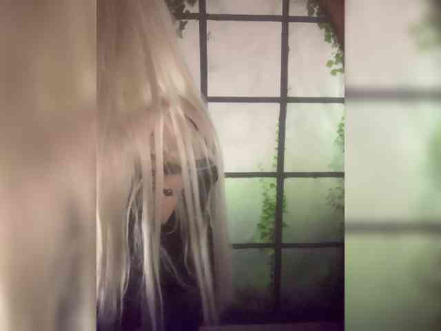 Kuca webcam