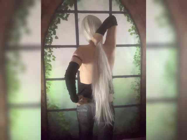 Kuca webcam