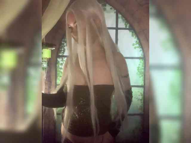 Kuca webcam