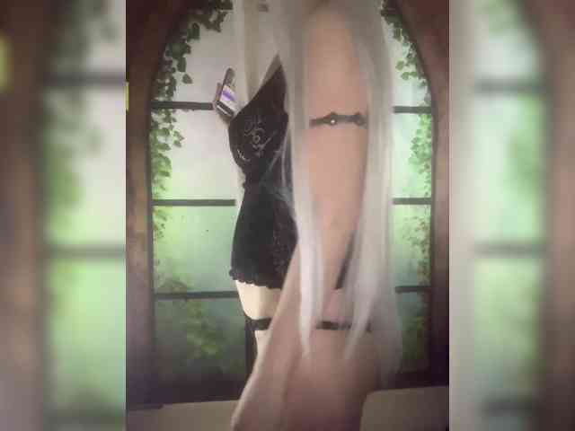 Kuca webcam