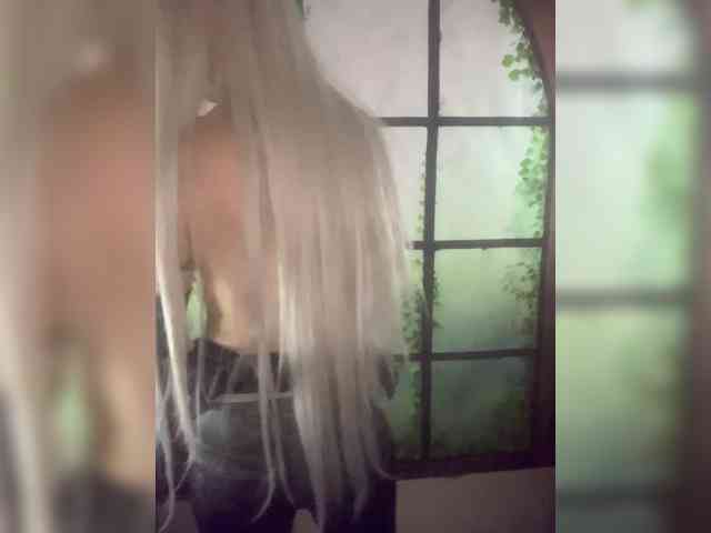 Kuca webcam