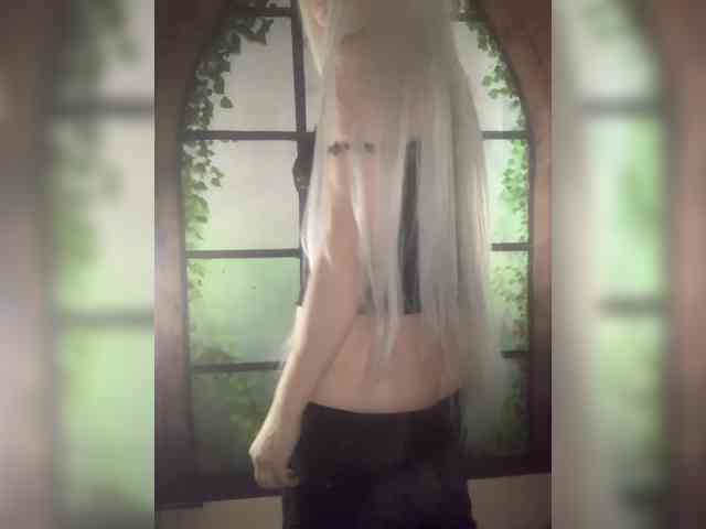 Kuca webcam