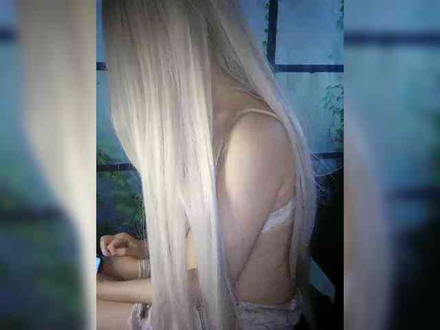 Kuca webcam
