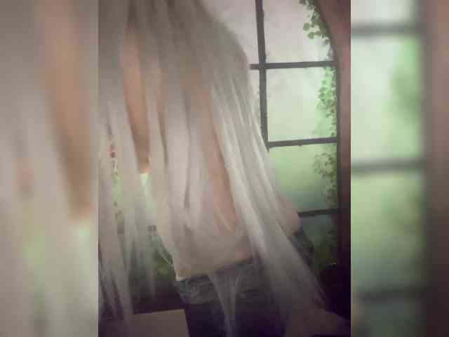 Kuca webcam