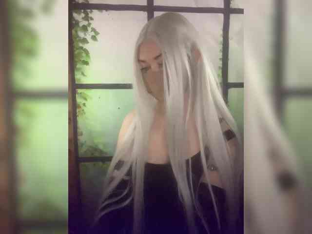 Kuca webcam