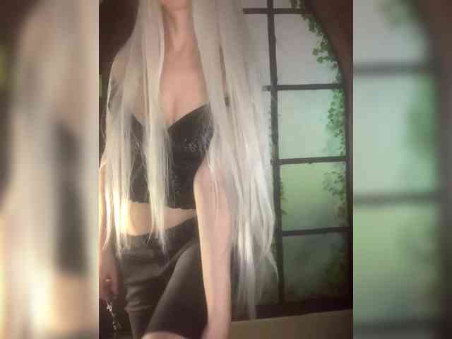 Kuca webcam