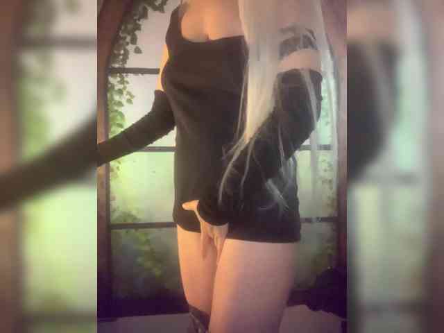 Kuca webcam