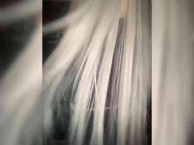 Kuca webcam