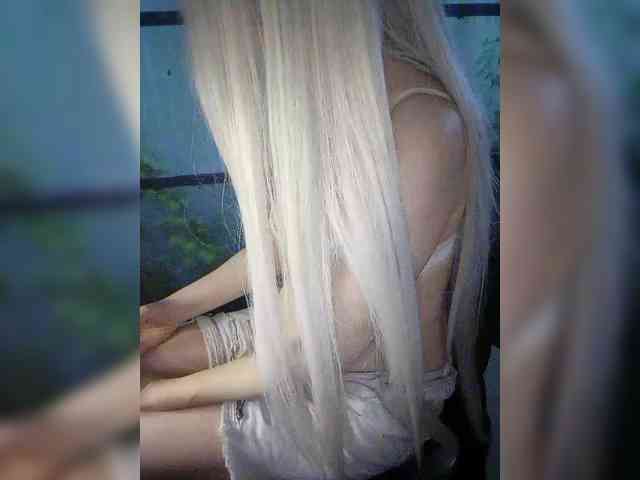 Kuca webcam