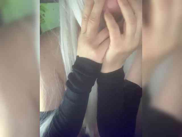 Kuca webcam