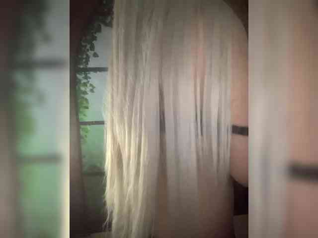Kuca webcam