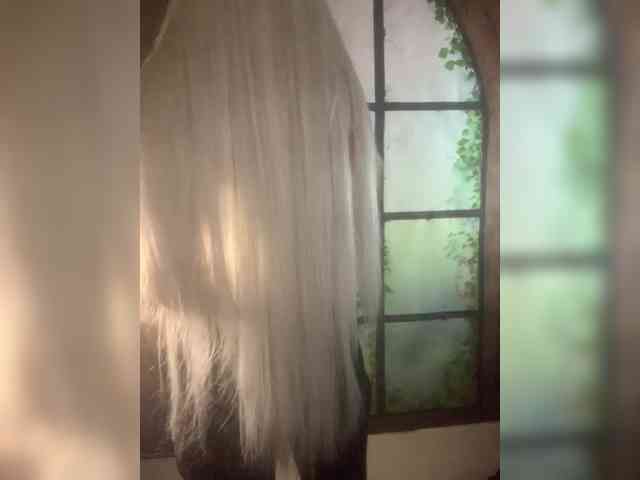 Kuca webcam