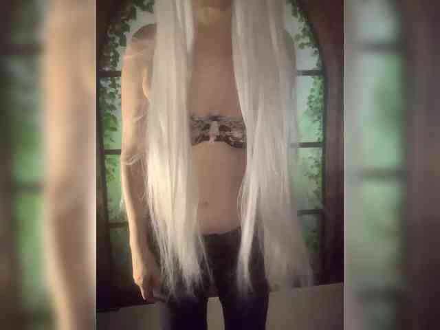 Kuca webcam