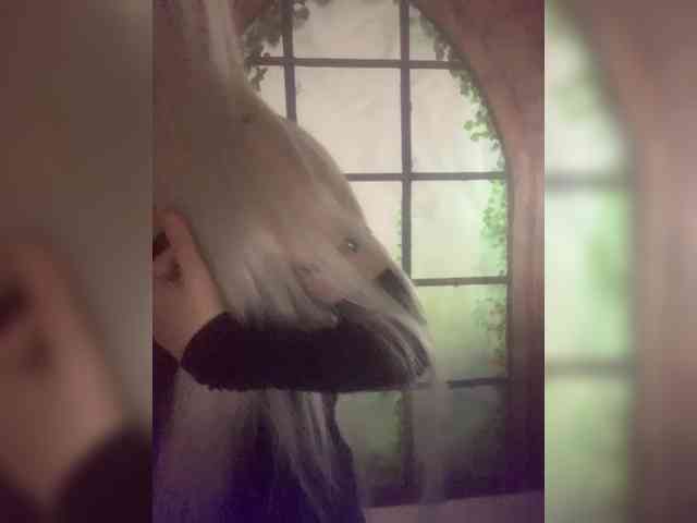 Kuca webcam