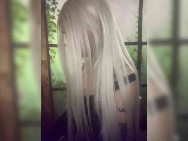 Kuca webcam