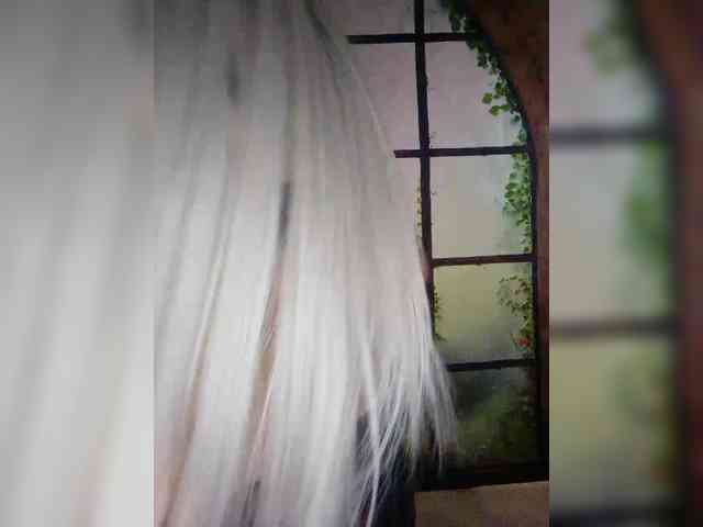 Kuca webcam