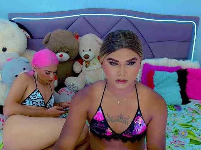 partyduotrans partyduotrans