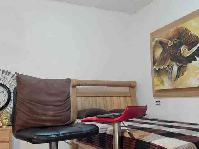 mr-stiven1 mr-stiven1