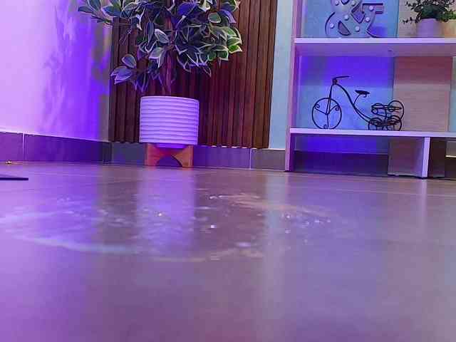 Sharlotte-Milk webcam