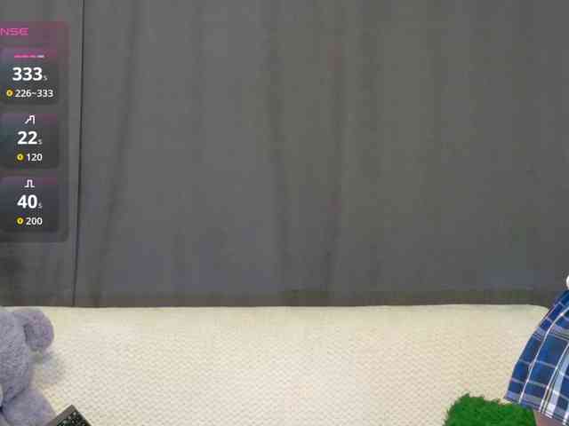 RobusTaa webcam