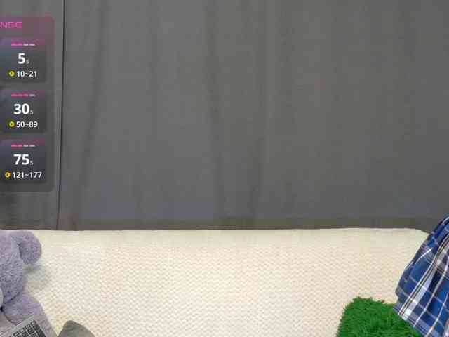 RobusTaa webcam
