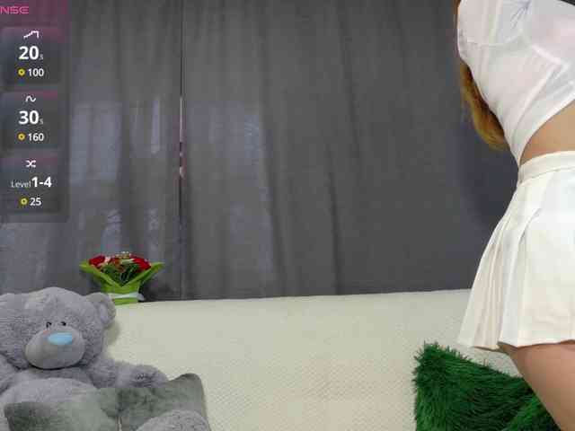 RobusTaa webcam