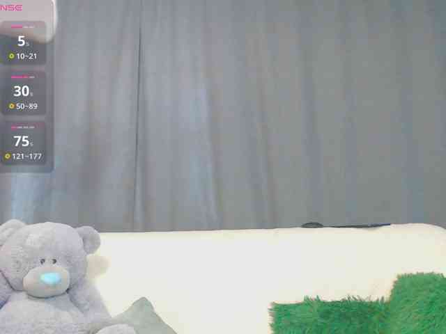 RobusTaa webcam