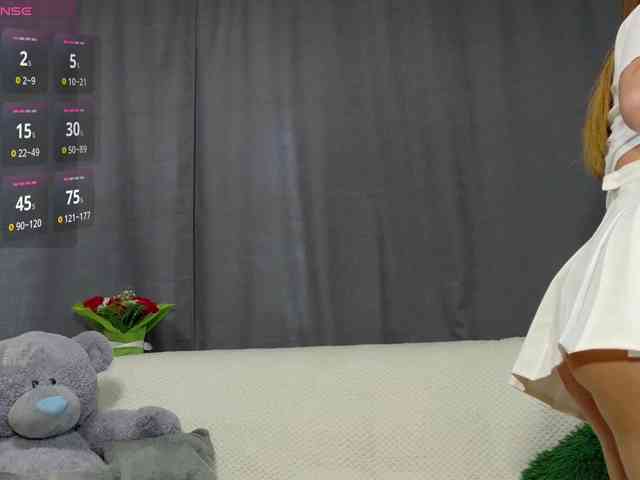 RobusTaa webcam