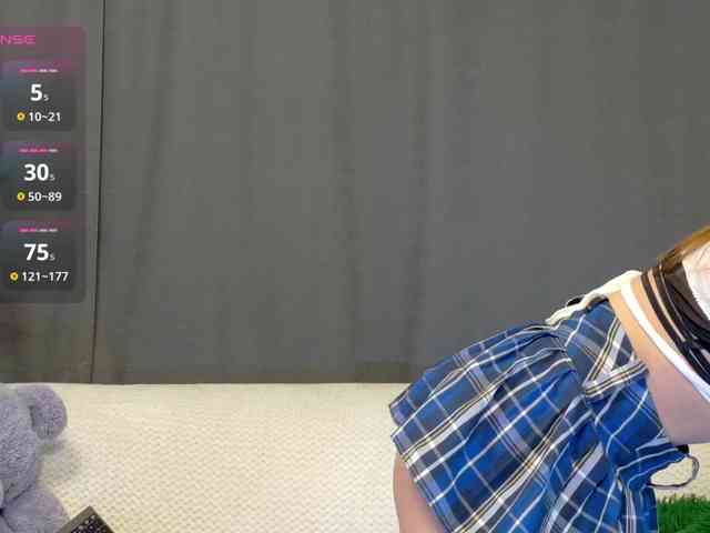 RobusTaa webcam