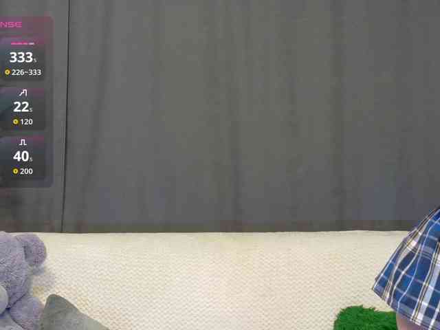 RobusTaa webcam