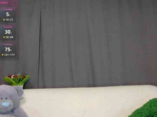 RobusTaa webcam