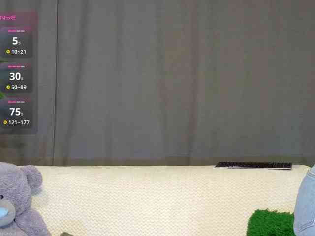 RobusTaa webcam