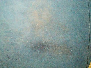 TriciaBella Porn Show