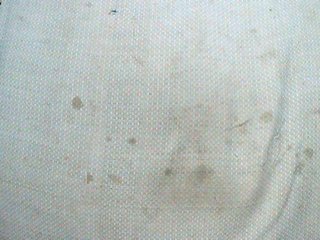 TriciaBella Porn Show