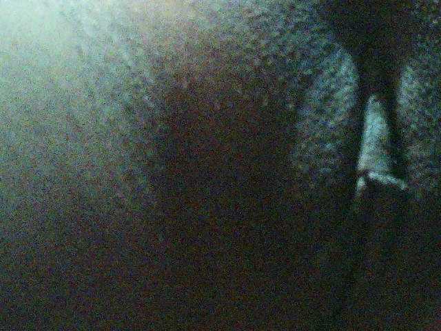 TriciaBella's BongaCams show and profile