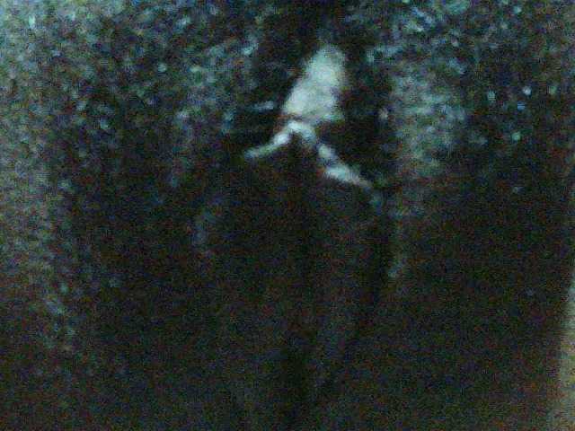 TriciaBella's BongaCams show and profile