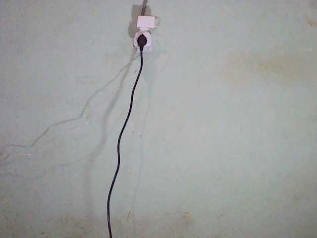 TriciaBella's BongaCams show and profile