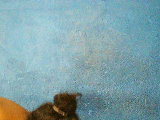 TriciaBella — Dirty,cute,caring, always wet,I love vibration,lick my pussy