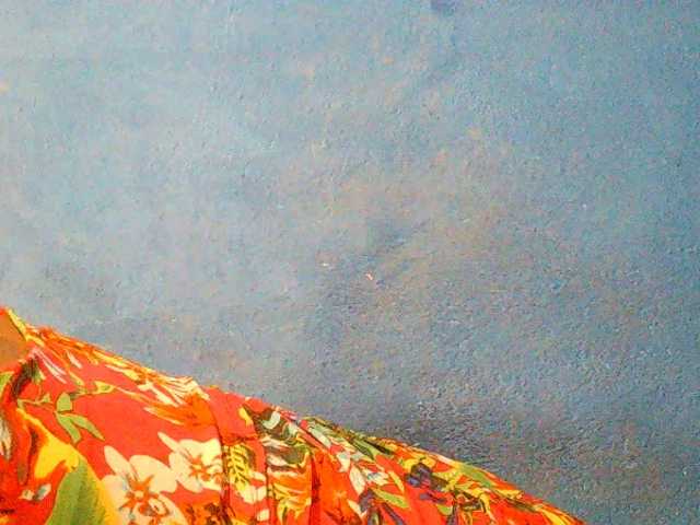 Preview of triciabella