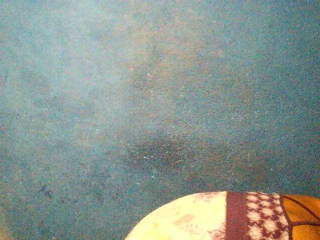 TriciaBella's BongaCams show and profile