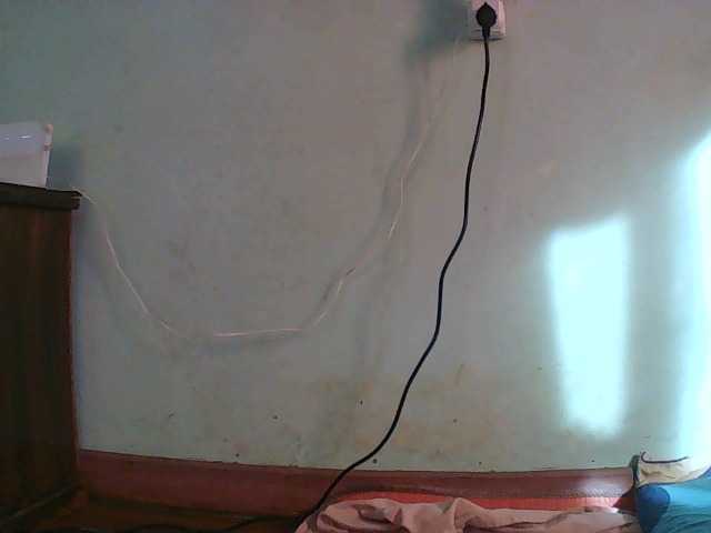 TriciaBella's BongaCams show and profile