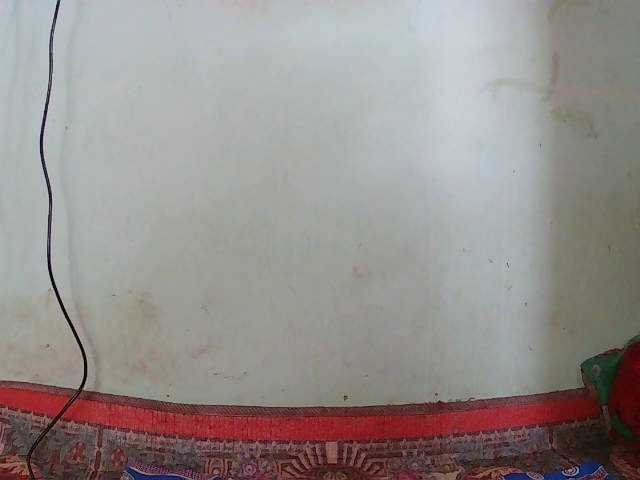 TriciaBella's BongaCams show and profile