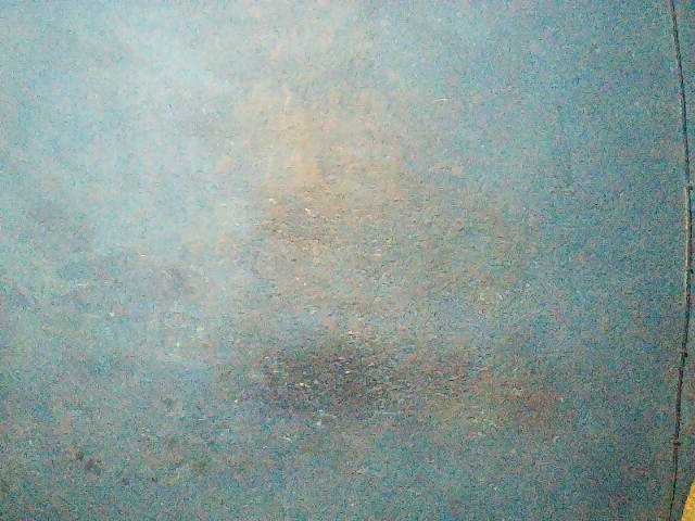 Preview of triciabella