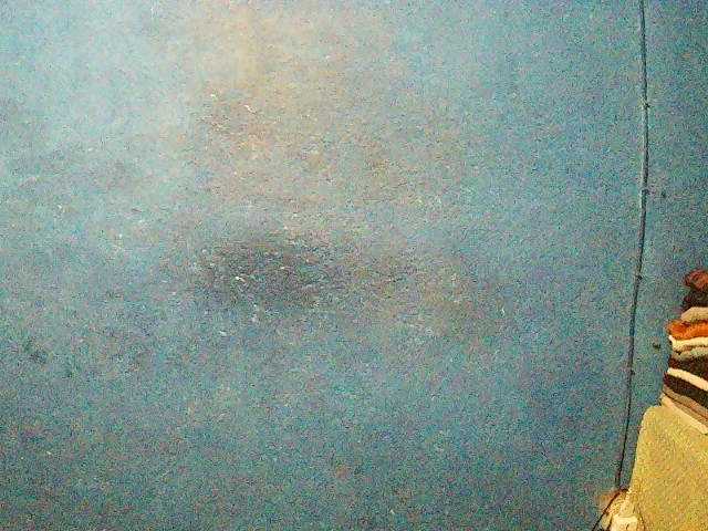 Preview of triciabella