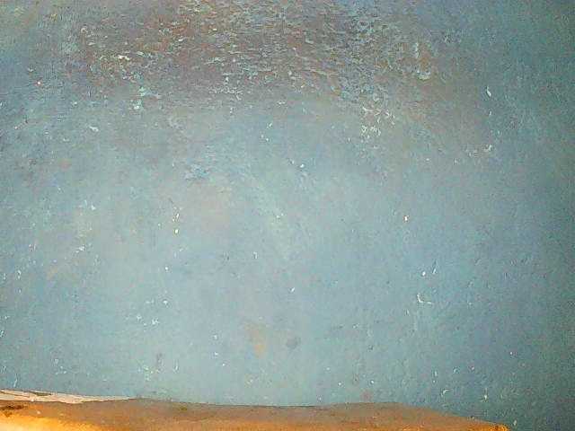 Preview of triciabella