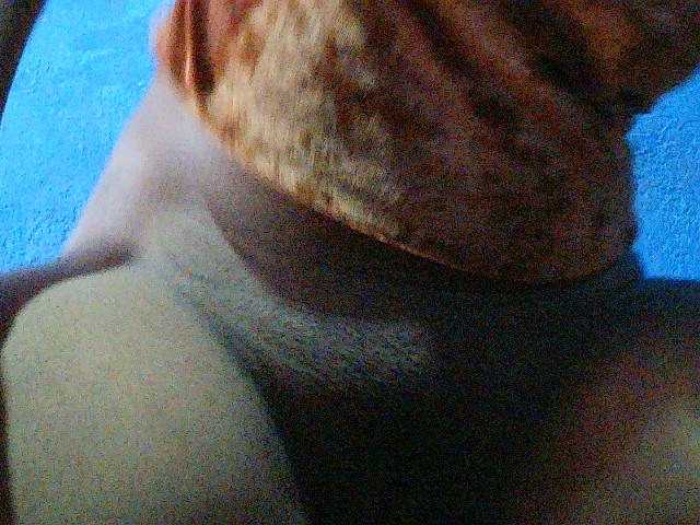 TriciaBella — Dirty,cute,caring, always wet,I love vibration,lick my pussy