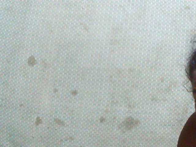 Preview of triciabella