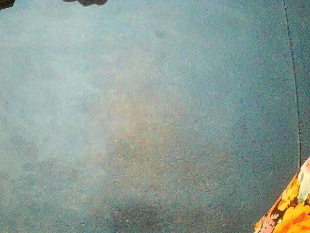 Preview of triciabella