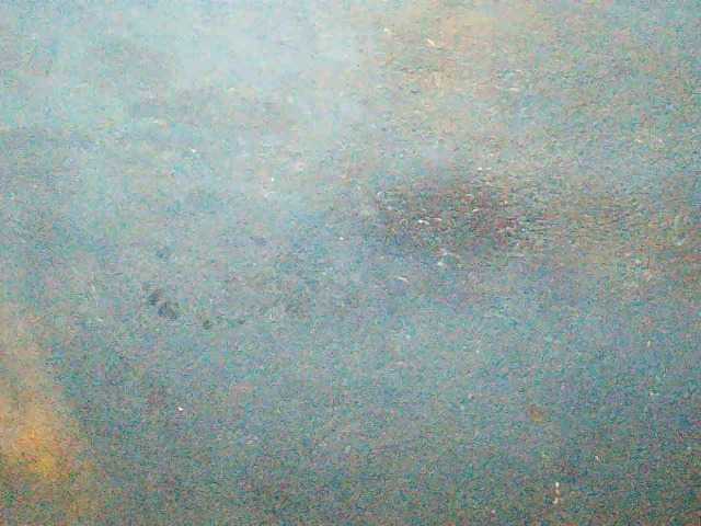 TriciaBella's BongaCams show and profile