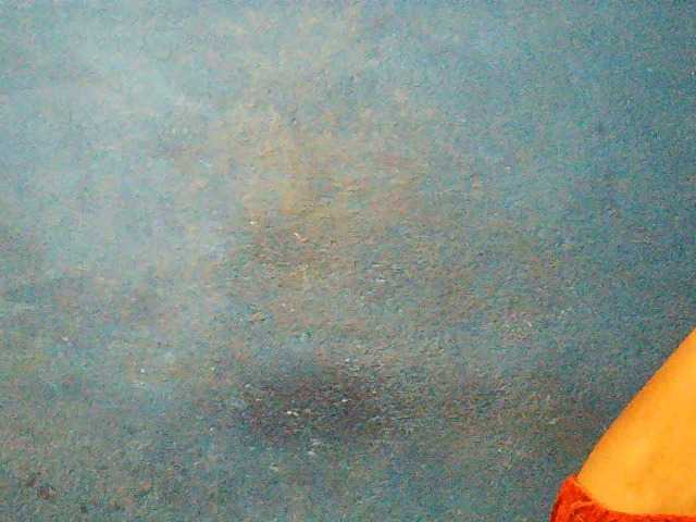 TriciaBella's BongaCams show and profile